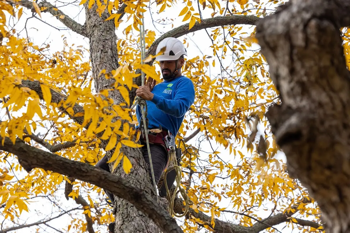 Skilled Storm Damage Cleanup crew working in Buhl